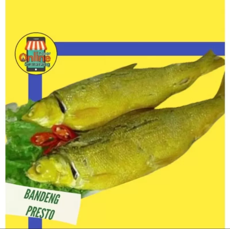 Bandeng Presto Besar 1Ekor